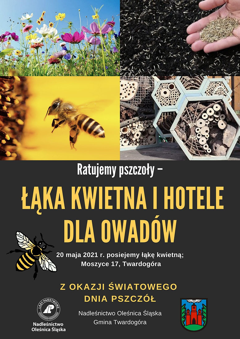 Plakat promujący wydarzenie