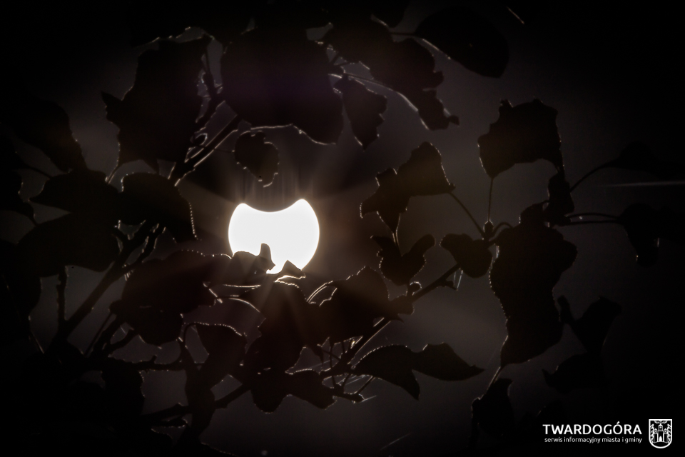 Zaćmienie Słońca nad Twardogórą, fot. Marcin Wrześniacki Zaćmienie Słońca nad Twardogórą, fot. Marcin Wrześniacki
